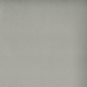 Toledo Silver Frost 7562 by Norbar Fabric SUEDE 80 POLYESTER 15 COT 5 POLYURET 55 - Fabric Carolina -