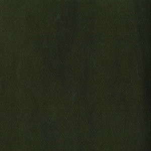 Trophy Bayleaf 376 by Norbar Fabric 93% COTTON 7% POLYESTER TURKEY 54 - Fabric Carolina -