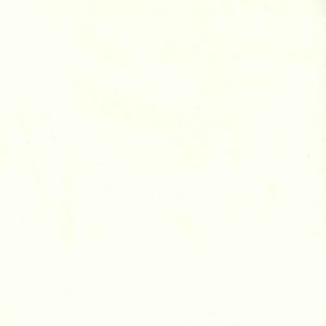 Trophy Cloud 020 by Norbar Fabric 93% COTTON 7% POLYESTER TURKEY 54 - Fabric Carolina -