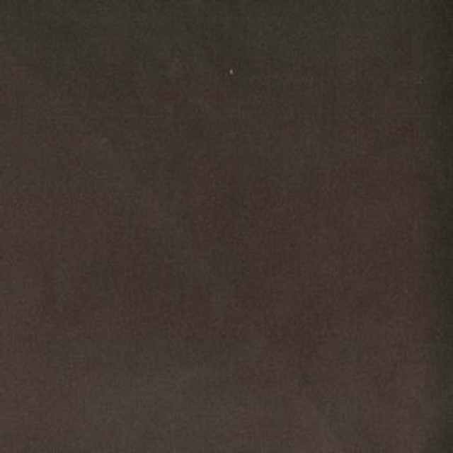 Trophy Truffle 897 by Norbar Fabric 93% COTTON 7% POLYESTER TURKEY 54 - Fabric Carolina -