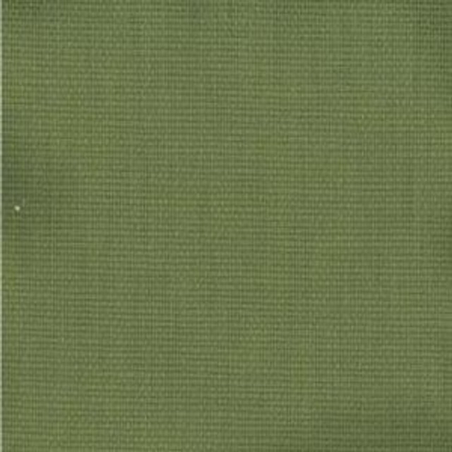Voyage Grass 321 by Norbar Fabric 100% COTTON 54" - Fabric Carolina -