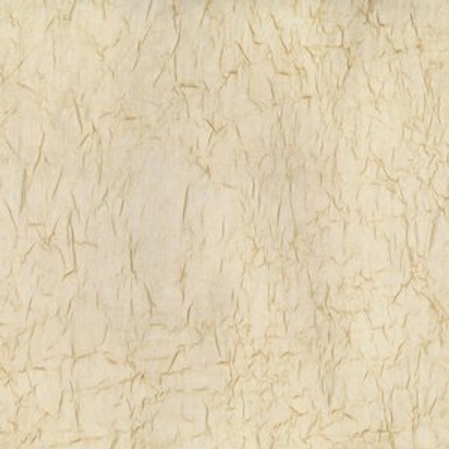 Wistful Champagne by Norbar Fabric SHEER IMAGE 100% POLYESTER TURKEY 114 - Fabric Carolina -