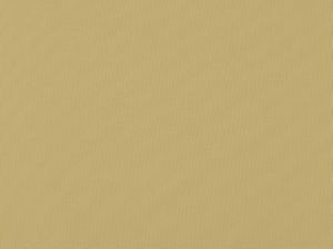 Zolic Ecru 112 by Norbar Fabric HEAT WAVE 100% POLYPROPYLENE TURKEY 54 - Fabric Carolina -