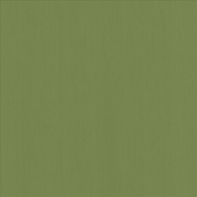 Perception Grass by Kasmir Fabric 5174 100% Cotton
 INDIA 21,000 Wyzenbeek Double Rubs Horizontal: N/A and Vertical: N/A 54 - Fabric Carolina -