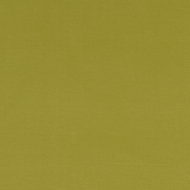 F1097 10 Alora Citrus by Clarke and Clarke Fabric STUDIO G COTTON - 100% Spain HEAVY Horizontal: 0 and Vertical: 0 54  - Fabric Carolina -
