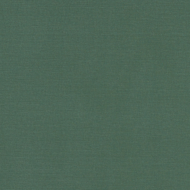 F1097 19 Alora Forest by Clarke and Clarke Fabric STUDIO G COTTON - 100% Spain HEAVY Horizontal: 0 and Vertical: 0 54  - Fabric Carolina -
