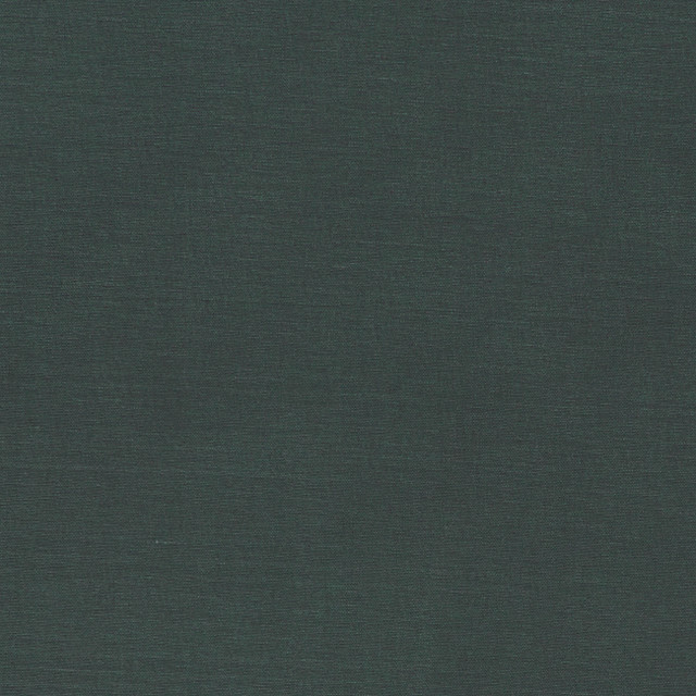 F1097 24 Alora Gunmetal by Clarke and Clarke Fabric STUDIO G COTTON - 100% Spain HEAVY Horizontal: 0 and Vertical: 0 54  - Fabric Carolina -