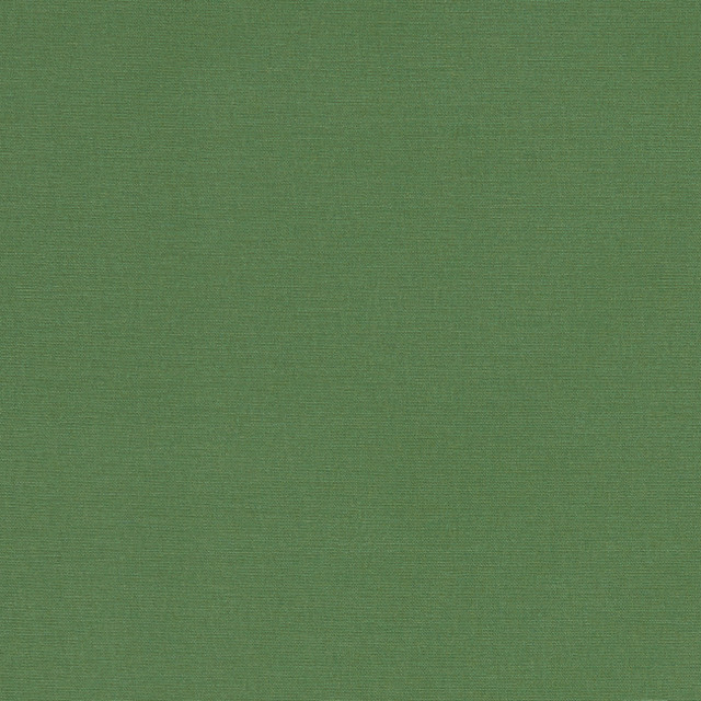 F1097 43 Alora Palm by Clarke and Clarke Fabric STUDIO G COTTON - 100% Spain HEAVY Horizontal: 0 and Vertical: 0 54  - Fabric Carolina -