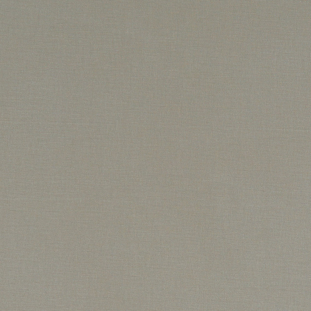 F1097 66 Alora Taupe by Clarke and Clarke Fabric STUDIO G COTTON - 100% Spain HEAVY Horizontal: 0 and Vertical: 0 54  - Fabric Carolina -