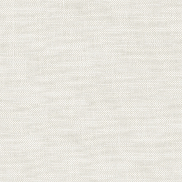 F1239 31 Amalfi Ivory by Clarke and Clarke Fabric CLARKE & CLARKE COTTON - 77%;POLYESTER - 23% India HEAVY Horizontal: 0 and Vertical: 0 54  - Fabric Carolina -