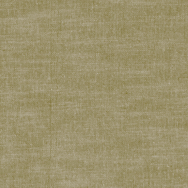 F1239 41 Amalfi Moss by Clarke and Clarke Fabric CLARKE & CLARKE COTTON - 77%;POLYESTER - 23% India HEAVY Horizontal: 0 and Vertical: 0 54  - Fabric Carolina -