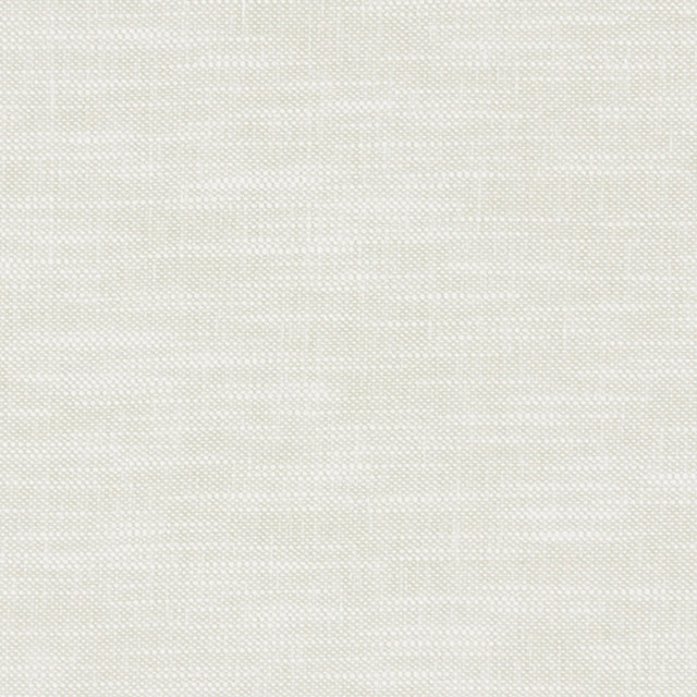 F1239 50 Amalfi Polar by Clarke and Clarke Fabric CLARKE & CLARKE COTTON - 77%;POLYESTER - 23% India HEAVY Horizontal: 0 and Vertical: 0 54  - Fabric Carolina -