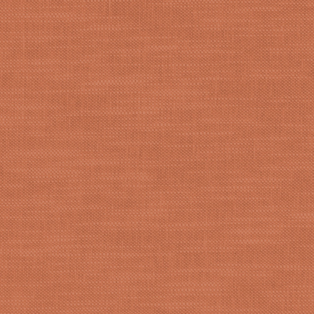 F1239 61 Amalfi Spice by Clarke and Clarke Fabric CLARKE & CLARKE COTTON - 77%;POLYESTER - 23% India HEAVY Horizontal: 0 and Vertical: 0 54  - Fabric Carolina -