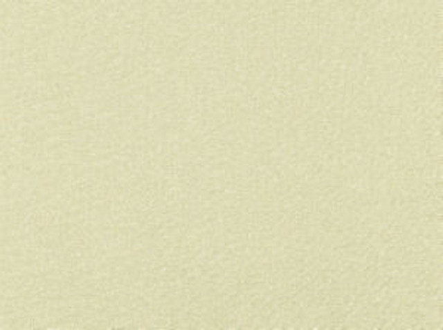 Rylie Champagne 10 by Norbar Fabric See Sample 100% POLYESTER INDIA 12,000 WYZENBEEK 55 - Fabric Carolina - Rylie Champagne 10 by Norbar Fabric See Sample 100% POLYESTER INDIA 12,000 WYZENBEEK 55 - Fabric Carolina -