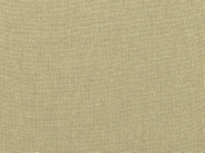 Rylie Vintage Gold 881 by Norbar Fabric METALICA 100% POLYESTER INDIA 55 - Fabric Carolina -