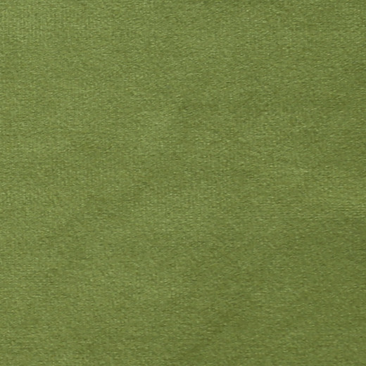 Plush - 15 by Europatex Fabric Plush 100% Polyester China See Sample Horizontal: N/A and Vertical: N/A 55.00 inches  - Fabric Carolina -