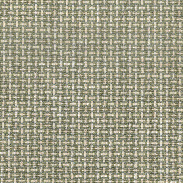 Regina Chive by Magnolia Fabric - 100% Poly China 75000 Horizontal: 0.5 and Vertical: 0.5 56" - Fabric Carolina -