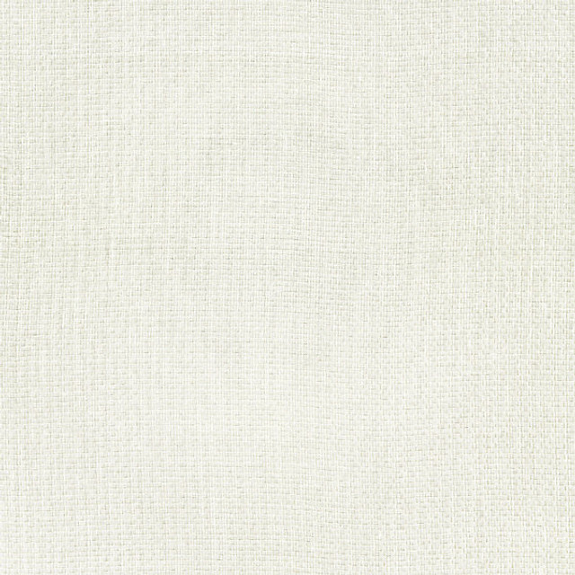Sora Sheer/Pearl 27236-001 by Scalamandre Fabric PACIFICA 58% LINEN 30% POLYESTER 7% COTTON 5% NYLON INDIA LIGHT DUTY Horizontal: 0" and Vertical: 0" 53.5" - Fabric Carolina -