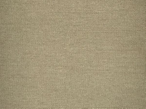 Condor Earth by Norbar Fabric CONDOR 100% POLYESTER INDIA 54" - Fabric Carolina -