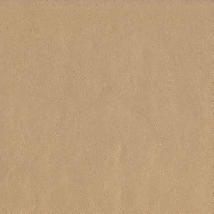 Capital Champagne 102 by Norbar Fabric EPIC 100% PVC CHINA 55 - Fabric Carolina -