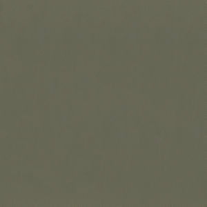 Capital Mocha 802 by Norbar Fabric EPIC 100% PVC CHINA 55 - Fabric Carolina -