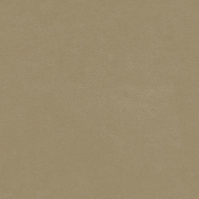 Corsica Fossil by Norbar Fabric EUREKA 100 CPU CHINA 200,000 WYZENBEEK </p><p>Repeat: 54 - Fabric Carolina -