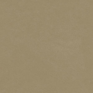 Corsica Fossil by Norbar Fabric EUREKA 100% CPU-CLEAN PERFORMANCE 54 - Fabric Carolina -