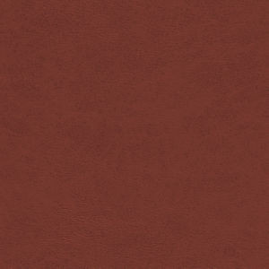 Corsica Thrill by Norbar Fabric EUREKA 100% CPU-CLEAN PERFORMANCE 54 - Fabric Carolina -