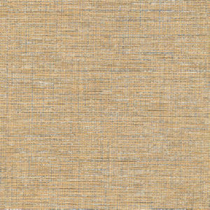 Theo Dew by Norbar Fabric PHALATE FREE VINYL KOREA 53 - Fabric Carolina -