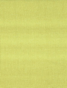 Grotto Lime 25326 by Norbar Fabric 100% POLYESTER TURKEY 59 - Fabric Carolina -