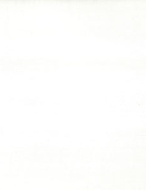 Luther Ivory by Norbar Fabric 100% POLYESTER POLAND 54 - Fabric Carolina -