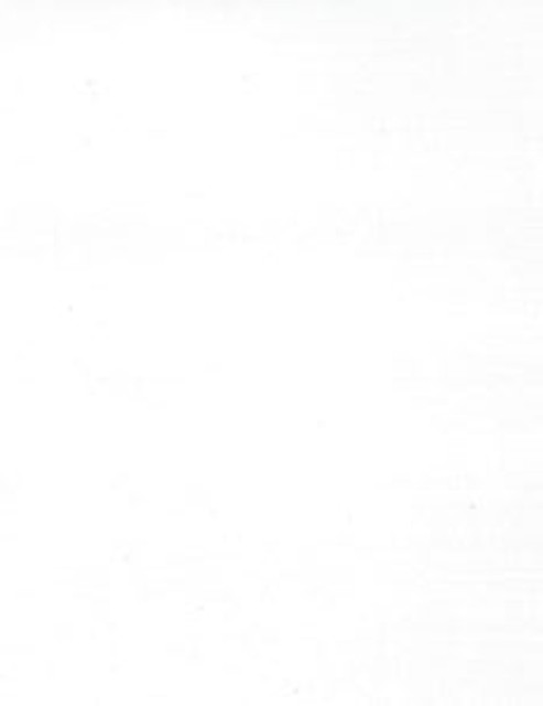Luther White by Norbar Fabric GROTTO 100% POLYESTER POLAND </p><p>Repeat: 54 - Fabric Carolina -