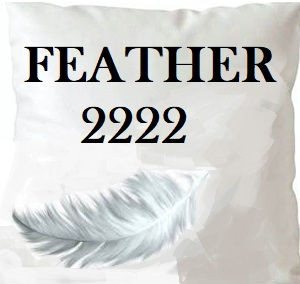 Feather 2222 Insert 22X22 by Norbar Fabric PILLOW INSERT - Fabric Carolina -