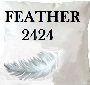 Feather 2424 Insert 24X24 by Norbar Fabric PILLOW INSERT - Fabric Carolina -