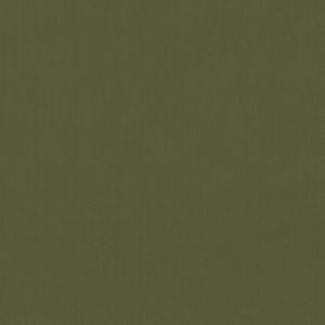 Scorpio Grotto 58 by Norbar Fabric SCORPIO 100% INHERENTLY FLAME INDIA 54" - Fabric Carolina -