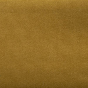 Sonic Lion by Norbar Fabric SONIC 100% POLYESTER CHINA 57 - Fabric Carolina -