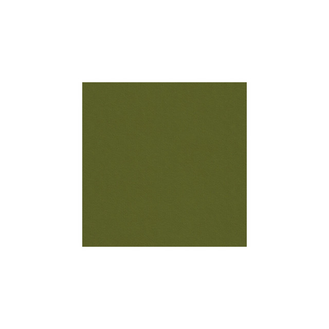 Delta Loden by Kravet Contract Fabric GIS POLYESTER - 83%;COTTON - 17% Korea, Republic of HEAVY Horizontal: - and Vertical: - 55 - Fabric Carolina -
