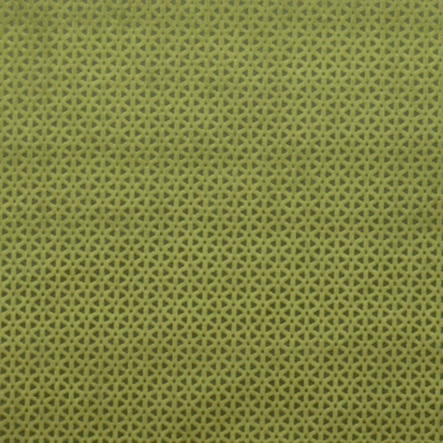 Loreto Olive by Clarke And Clarke Fabric CLARKE & CLARKE LUSTRO POLYESTER - 100% China HEAVY Horizontal: 0.79 and Vertical: 0.39 55 - Fabric Carolina -