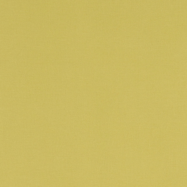 Alora Celery by Clarke And Clarke Fabric CLARKE & CLARKE ALORA COTTON - 100% Spain HEAVY Horizontal: 0 and Vertical: 0 54 - Fabric Carolina -