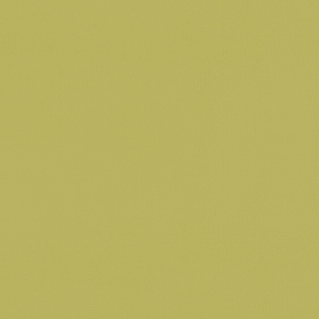 Renzo Citrus by Clarke And Clarke Fabric CLARKE & CLARKE RENZO POLYESTER - 100% China HEAVY Horizontal: 0 and Vertical: 0 55 - Fabric Carolina -