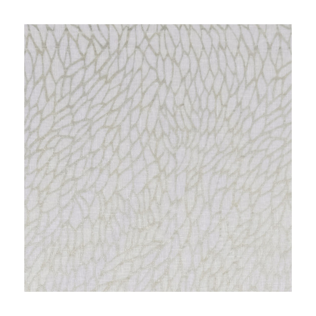 Corallino Sheer Champagne/Gold by Clarke And Clarke Fabric CLARKE & CLARKE LUSSO SHEERS POLYESTER - 100% Turkey - Horizontal: 9.84 and Vertical: 22.05 117 - Fabric Carolina -
