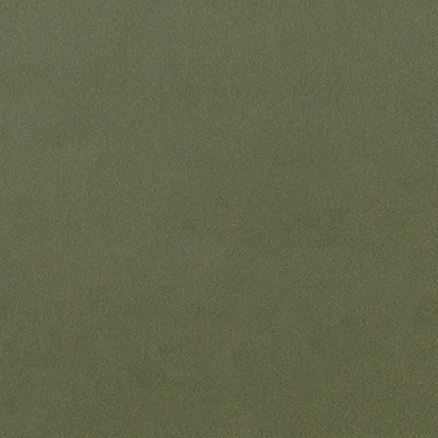 Lucca Herb by Clarke And Clarke Fabric CLARKE & CLARKE ALONSO POLYESTER - 100% China HEAVY Horizontal: - and Vertical: - 55.125 - Fabric Carolina -