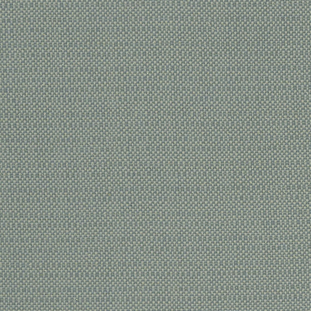 Kauai Mineral by Clarke And Clarke Fabric CLARKE & CLARKE EXOTICA COTTON - 46%;POLYESTER - 42%;VISCOSE - 12% India HEAVY Horizontal: 0 and Vertical: 0 54 - Fabric Carolina -