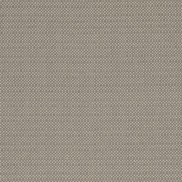 Kauai Mocha by Clarke And Clarke Fabric CLARKE & CLARKE EXOTICA COTTON - 46%;POLYESTER - 42%;VISCOSE - 12% India HEAVY Horizontal: 0 and Vertical: 0 54 - Fabric Carolina -