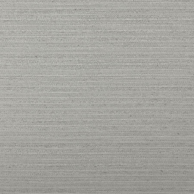 Darwin # 704 Feather by Maxwell Fabric Pure & Simple Vii 100% POLYESTER INDIA 55" - Fabric Carolina -