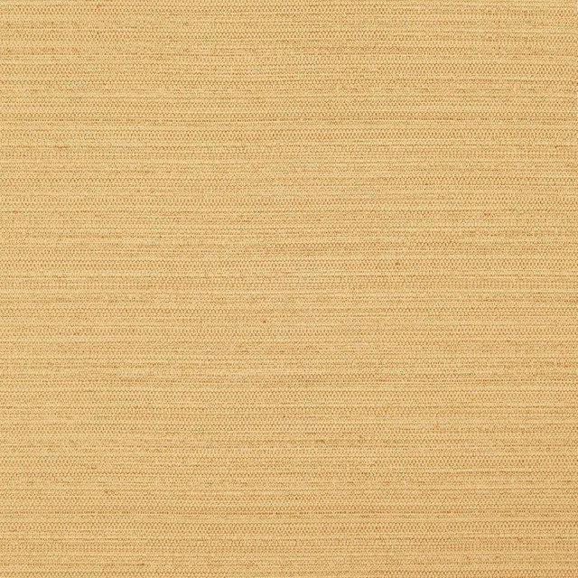 Darwin # 728 Gold by Maxwell Fabric Pure & Simple Vii 100% POLYESTER INDIA 55" - Fabric Carolina -