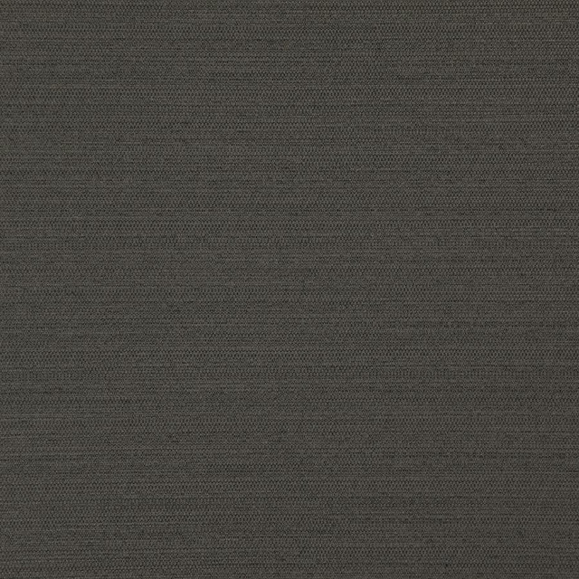 Darwin # 739 Coal by Maxwell Fabric Pure & Simple Vii 100% POLYESTER INDIA 55" - Fabric Carolina -