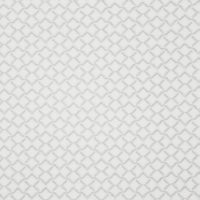 Donovan # 973 Filigree by Maxwell Fabric 100% POLYESTER NONE TURKEY V&H-2" 118" EMB.WIDTH 106" - Fabric Carolina - Donovan # 973 Filigree by Maxwell Fabric 100% POLYESTER NONE TURKEY V&H-2" 118" EMB.WIDTH 106" - Fabric Carolina -