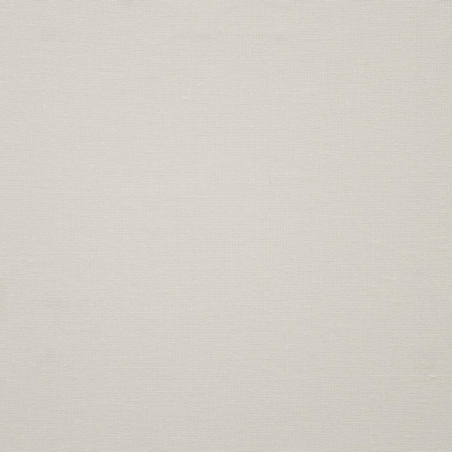 Panda # 338 Ivory by Maxwell Fabric Pure & Simple Xi 95% BAMBOO RAYON/5% LINEN INDIA 54" - Fabric Carolina -