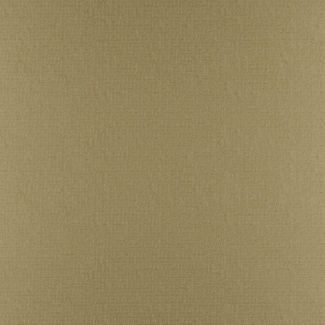 Phobos # 315 Cane by Maxwell Fabric Performance Textures 100% POLYESTER CHINA 55" - Fabric Carolina -